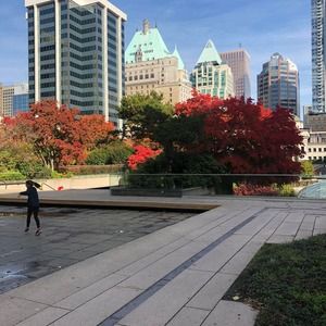 Meet your Posher, Carly